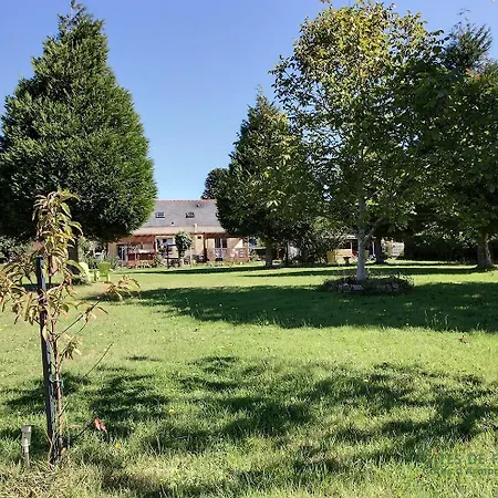 L'araukaria * Tressignaux