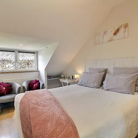 Bed & Breakfast L'araukaria Tressignaux